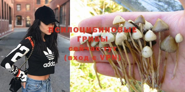 ПСИЛОЦИБИНОВЫЕ ГРИБЫ Кукмор