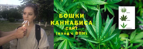 ПСИЛОЦИБИНОВЫЕ ГРИБЫ Кукмор