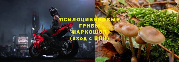 ПСИЛОЦИБИНОВЫЕ ГРИБЫ Кукмор