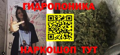 шишки Конаково
