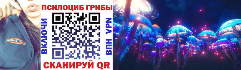 дарнет шоп  Самара  Галлюциногенные грибы Cubensis 