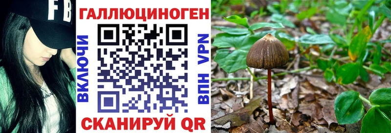 Галлюциногенные грибы MAGIC MUSHROOMS Самара