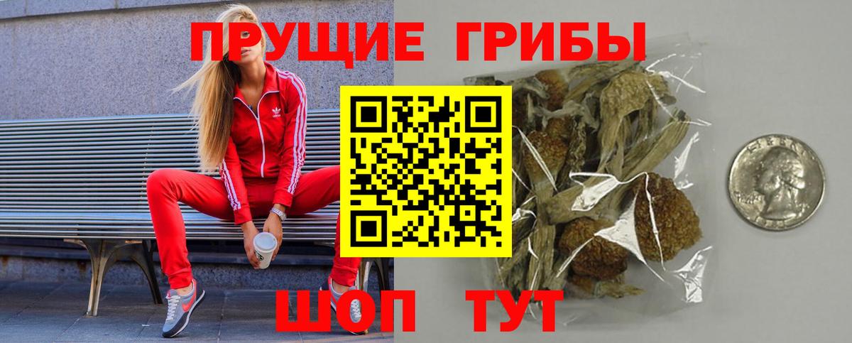 Галлюциногенные грибы GOLDEN TEACHER Самара