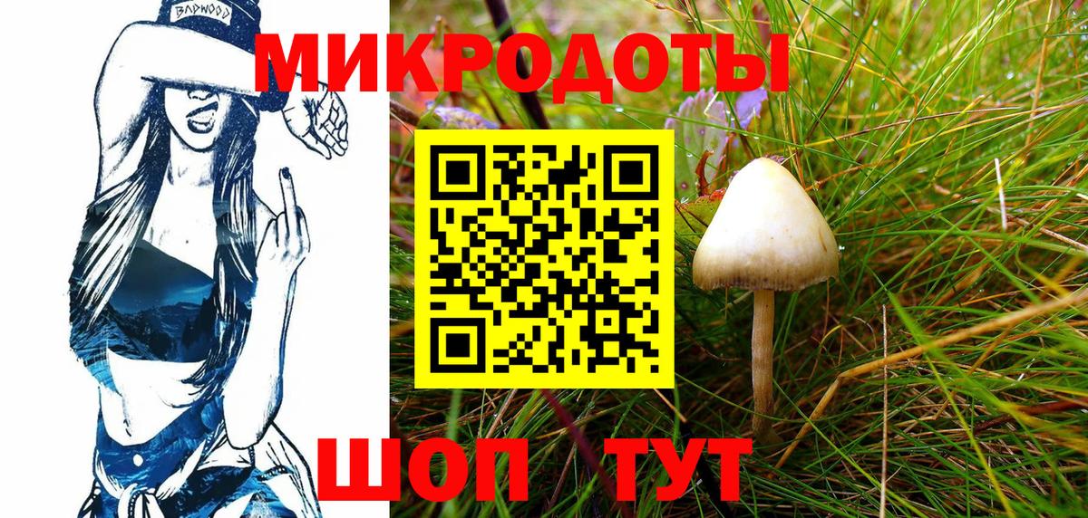 Самара  Псилоцибиновые грибы ЛСД  Вход с VPN 